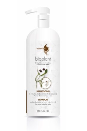 Abyssinian Oil shampoo