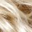 Danish-Blond-Root (20R/22H+R14)