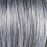 Silver Mink